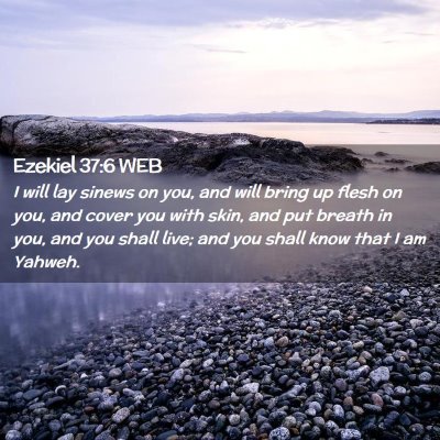 Picture 02 - Ezekiel 37:6 WEB - I will lay sinews on you, and will bring up flesh - Bible Verse Picture