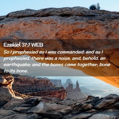 Picture 02 - Ezekiel 37:7 WEB - So I prophesied as I was commanded: and as I - Bible Verse Picture