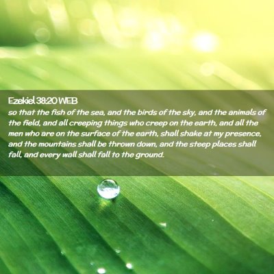 Picture 02 - Ezekiel 38:20 WEB - so that the fish of the sea, and the birds of the - Bible Verse Picture