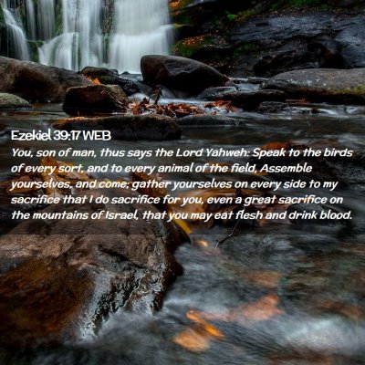 Picture 02 - Ezekiel 39:17 WEB - You, son of man, thus says the Lord Yahweh: Speak - Bible Verse Picture