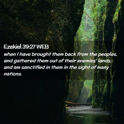 Picture 02 - Ezekiel 39:27 WEB - when I have brought them back from the peoples, - Bible Verse Picture