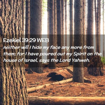 Picture 02 - Ezekiel 39:29 WEB - neither will I hide my face any more from them; - Bible Verse Picture