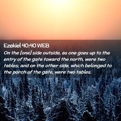 Picture 02 - Ezekiel 40:40 WEB - On the [one] side outside, as one goes up to the - Bible Verse Picture
