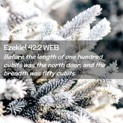 Picture 02 - Ezekiel 42:2 WEB - Before the length of one hundred cubits was the - Bible Verse Picture