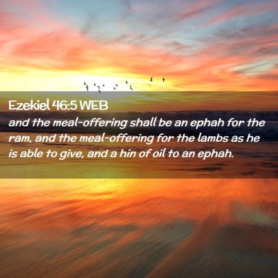 Picture 02 - Ezekiel 46:5 WEB - and the meal-offering shall be an ephah for the - Bible Verse Picture