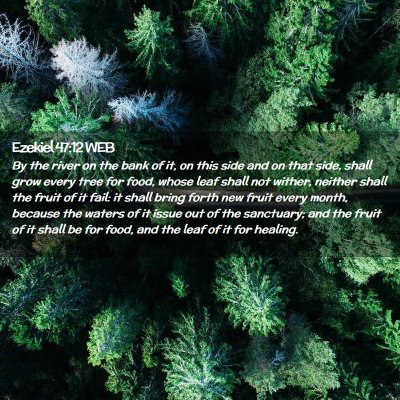 Picture 02 - Ezekiel 47:12 WEB - By the river on the bank of it, on this side and - Bible Verse Picture