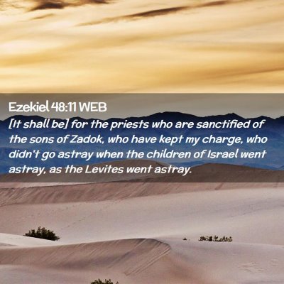 Picture 02 - Ezekiel 48:11 WEB - [It shall be] for the priests who are sanctified - Bible Verse Picture