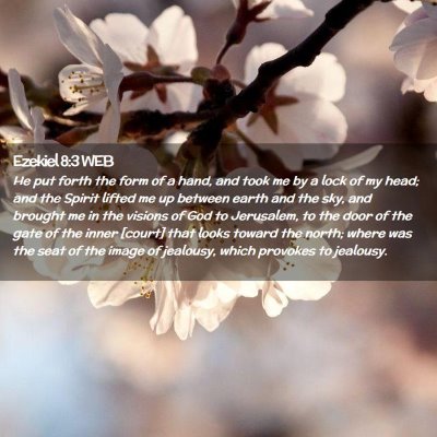 Picture 02 - Ezekiel 8:3 WEB - He put forth the form of a hand, and took me by a - Bible Verse Picture