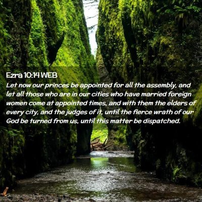 Picture 02 - Ezra 10:14 WEB - Let now our princes be appointed for all the - Bible Verse Picture
