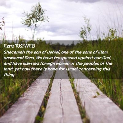 Picture 02 - Ezra 10:2 WEB - Shecaniah the son of Jehiel, one of the sons of - Bible Verse Picture