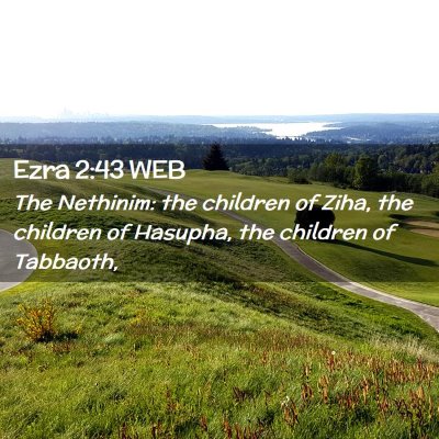 Picture 02 - Ezra 2:43 WEB - The Nethinim: the children of Ziha, the children - Bible Verse Picture