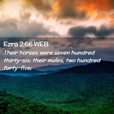 Picture 02 - Ezra 2:66 WEB - Their horses were seven hundred thirty-six; their - Bible Verse Picture