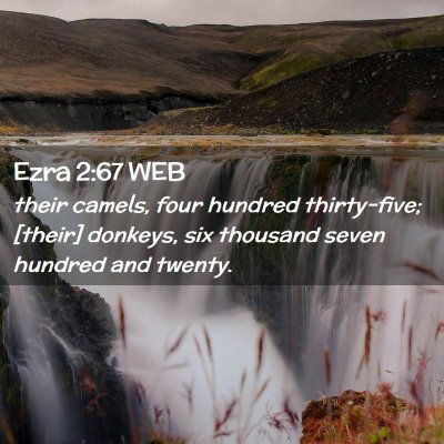 Picture 02 - Ezra 2:67 WEB - their camels, four hundred thirty-five; [their] - Bible Verse Picture