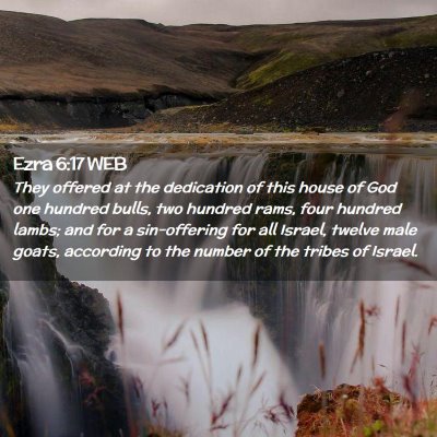 Picture 02 - Ezra 6:17 WEB - They offered at the dedication of this house of - Bible Verse Picture
