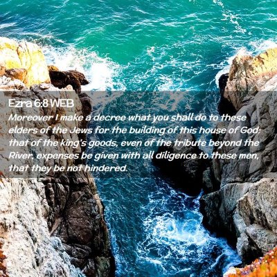 Picture 02 - Ezra 6:8 WEB - Moreover I make a decree what you shall do to - Bible Verse Picture