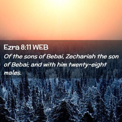 Picture 02 - Ezra 8:11 WEB - Of the sons of Bebai, Zechariah the son of Bebai; - Bible Verse Picture