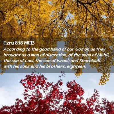 Picture 02 - Ezra 8:18 WEB - According to the good hand of our God on us they - Bible Verse Picture