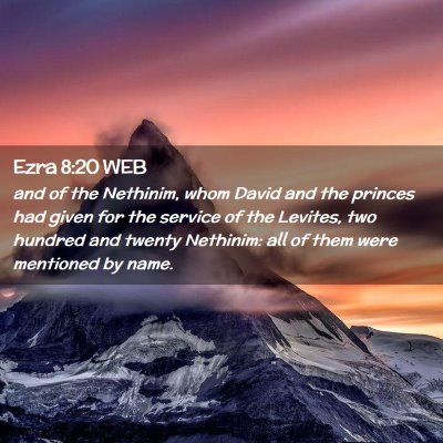 Picture 02 - Ezra 8:20 WEB - and of the Nethinim, whom David and the princes - Bible Verse Picture