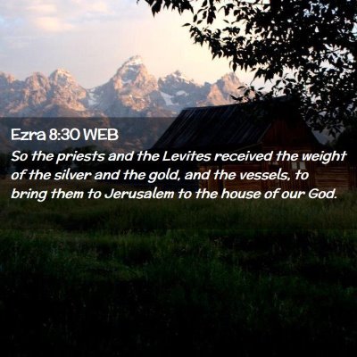 Picture 02 - Ezra 8:30 WEB - So the priests and the Levites received the - Bible Verse Picture