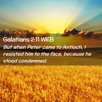 Picture 02 - Galatians 2:11 WEB - But when Peter came to Antioch, I resisted him to - Bible Verse Picture