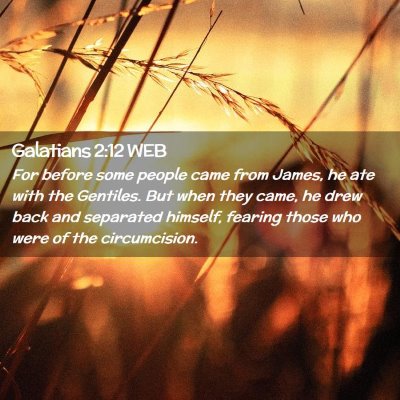 Picture 02 - Galatians 2:12 WEB - For before some people came from James, he ate - Bible Verse Picture