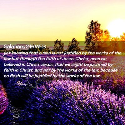 Picture 02 - Galatians 2:16 WEB - yet knowing that a man is not justified by the - Bible Verse Picture