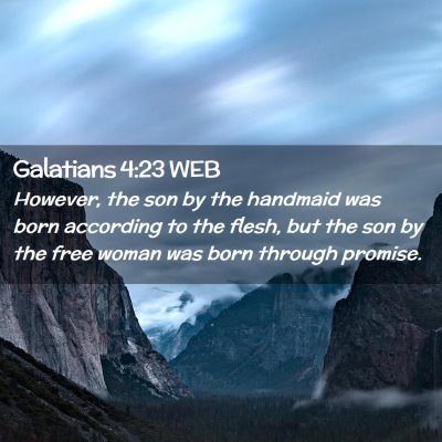 Picture 02 - Galatians 4:23 WEB - However, the son by the handmaid was born - Bible Verse Picture