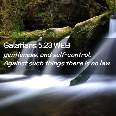 Picture 02 - Galatians 5:23 WEB - gentleness, and self-control. Against such things - Bible Verse Picture