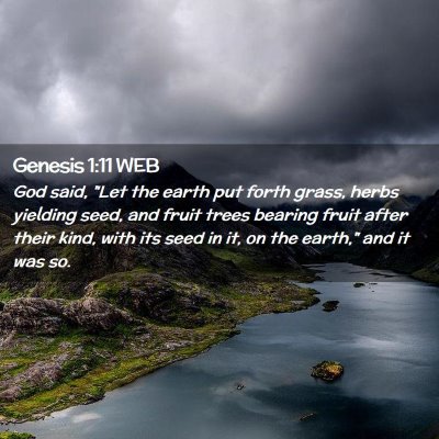 Picture 02 - Genesis 1:11 WEB - God said, 
