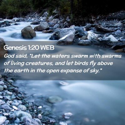Picture 02 - Genesis 1:20 WEB - God said, 