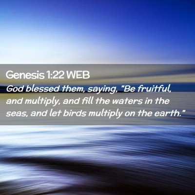 Picture 02 - Genesis 1:22 WEB - God blessed them, saying, 