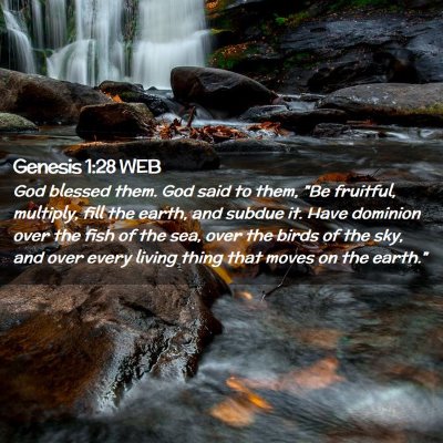 Picture 02 - Genesis 1:28 WEB - God blessed them. God said to them, 