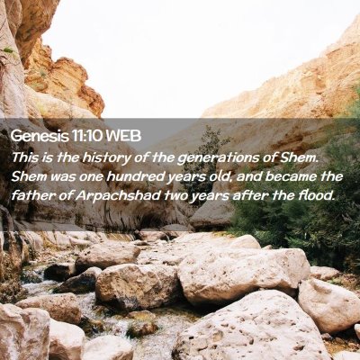Picture 02 - Genesis 11:10 WEB - This is the history of the generations of Shem. - Bible Verse Picture