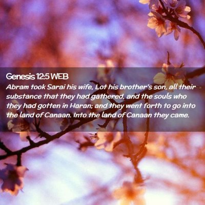 Picture 02 - Genesis 12:5 WEB - Abram took Sarai his wife, Lot his brother's son, - Bible Verse Picture