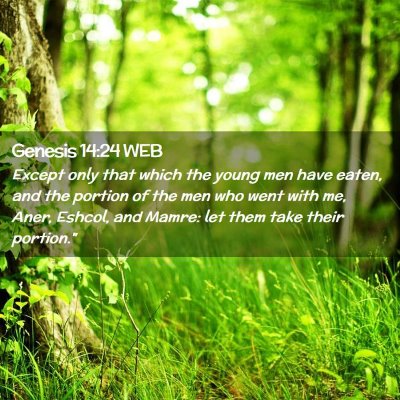 Picture 02 - Genesis 14:24 WEB - Except only that which the young men have eaten, - Bible Verse Picture