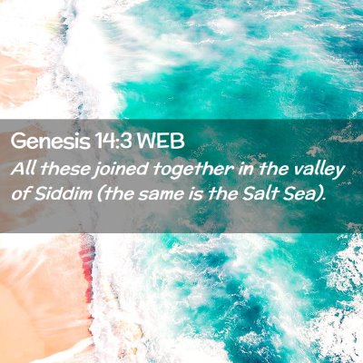 Picture 02 - Genesis 14:3 WEB - All these joined together in the valley of Siddim - Bible Verse Picture