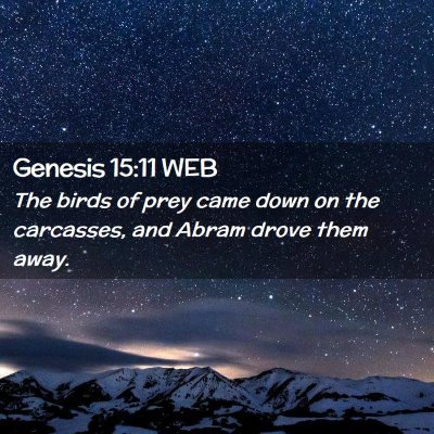 Picture 02 - Genesis 15:11 WEB - The birds of prey came down on the carcasses, and - Bible Verse Picture