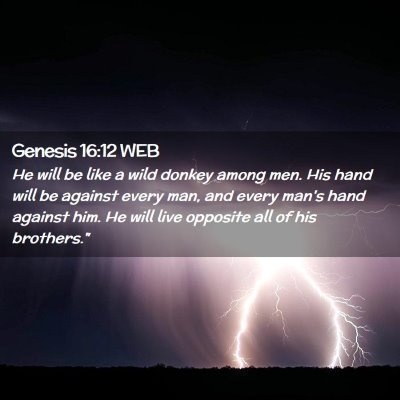 Picture 02 - Genesis 16:12 WEB - He will be like a wild donkey among men. His hand - Bible Verse Picture