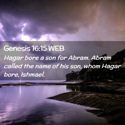 Picture 02 - Genesis 16:15 WEB - Hagar bore a son for Abram. Abram called the name - Bible Verse Picture