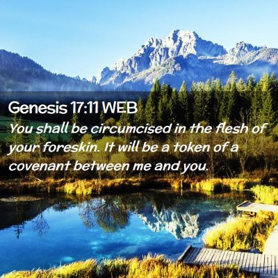 Picture 02 - Genesis 17:11 WEB - You shall be circumcised in the flesh of your - Bible Verse Picture