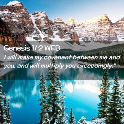 Picture 02 - Genesis 17:2 WEB - I will make my covenant between me and you, and - Bible Verse Picture