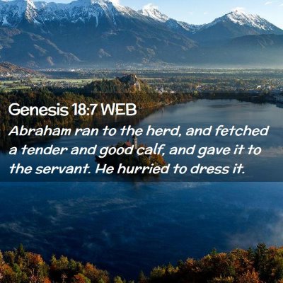 Picture 02 - Genesis 18:7 WEB - Abraham ran to the herd, and fetched a tender and - Bible Verse Picture