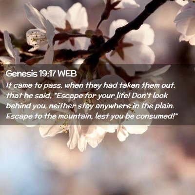 Picture 02 - Genesis 19:17 WEB - It came to pass, when they had taken them out, - Bible Verse Picture