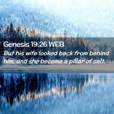Picture 02 - Genesis 19:26 WEB - But his wife looked back from behind him, and she - Bible Verse Picture