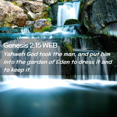 Picture 02 - Genesis 2:15 WEB - Yahweh God took the man, and put him into the - Bible Verse Picture
