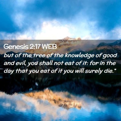 Picture 02 - Genesis 2:17 WEB - but of the tree of the knowledge of good and - Bible Verse Picture