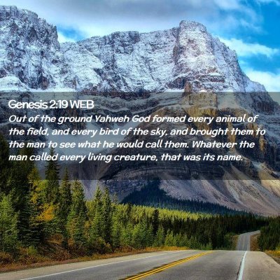 Picture 02 - Genesis 2:19 WEB - Out of the ground Yahweh God formed every animal - Bible Verse Picture