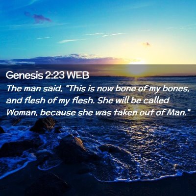 Picture 02 - Genesis 2:23 WEB - The man said, 