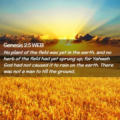 Picture 02 - Genesis 2:5 WEB - No plant of the field was yet in the earth, and - Bible Verse Picture