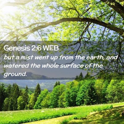 Picture 02 - Genesis 2:6 WEB - but a mist went up from the earth, and watered - Bible Verse Picture